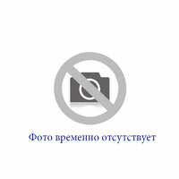 Цепь (925)